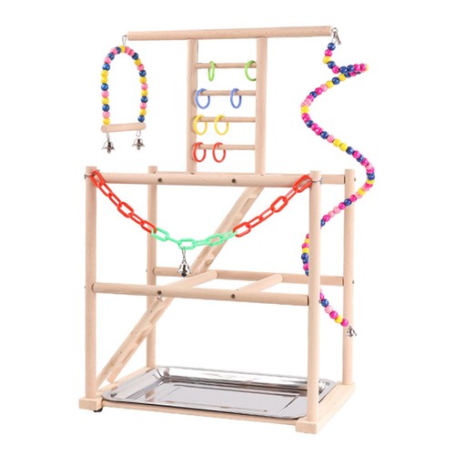 Parrot playground bird - bird, play