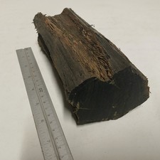 Piece of Irish Bog Oak Wood  1