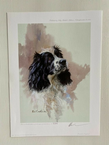 Rare sold out dog - ,
