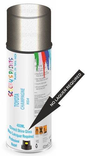 Direct shine paint spray - direct,