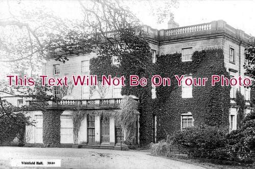 3179 whitfield hall - -,