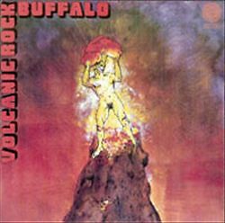Buffalo volcanic rock - volcanic, (2013)