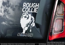 Rough collie car - -, window