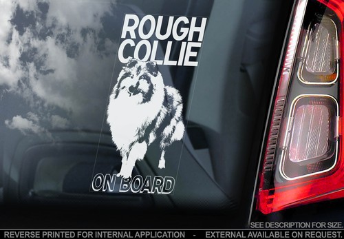 Rough collie car window - -,