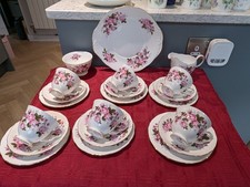 Vintage Queen Anne Pink roses bone china Teacups Trios 21 Pce Teaset