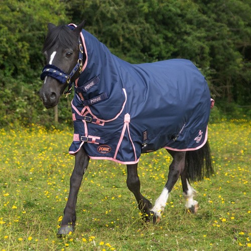 Shetland pony turnout rug - pony,