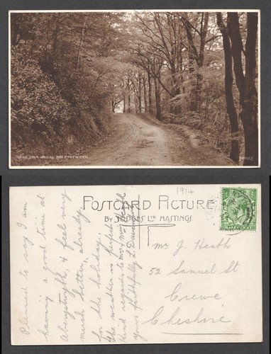 Aberystwyth cwm woods wales - woods,