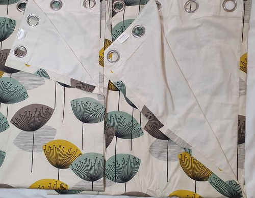 Sanderson dandelion clocks - dandelion,