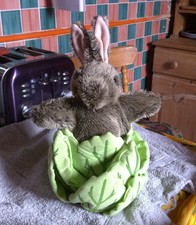 Nice Rabbit In Cabbage Hand Puppet By The Puppet Company #1  - 14  Inch