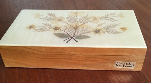 Vintage olive wood - olive,