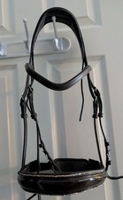Brown Artemis Equine Dressage