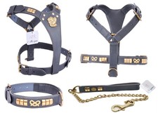 Staffy Dog Grey Leather Harness Collar Chain Lead Brass Knot Comfort Fit Set