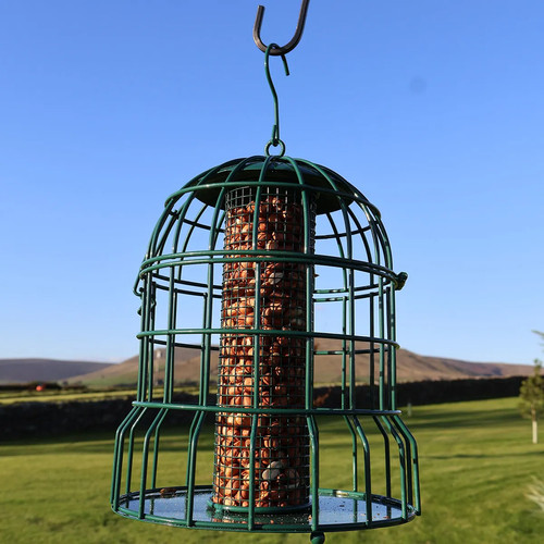 Squirrel proof caged - caged, nut