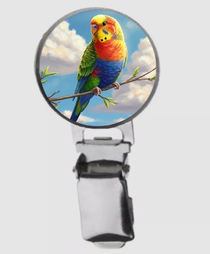 Rainbow budgie bird a dome - budgie,