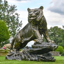 Incredible Bengal Tiger on