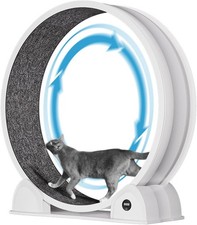 45in Cat Exercise Wheel with