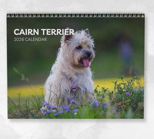 Cairn Terrier Calendar 2026