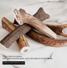 Wild Deer Antler Chew for Dogs