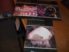 The Illustrated Encyclopedia