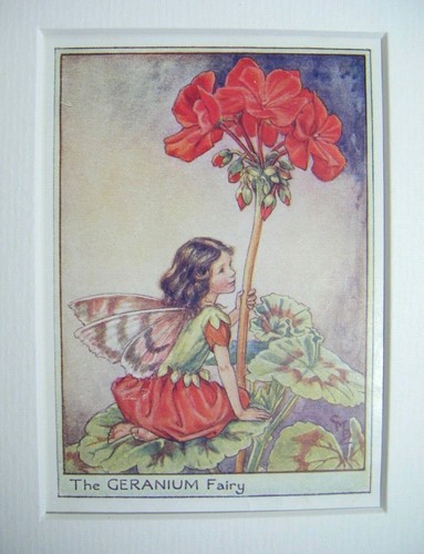 Vintage flower fairies - fairies, &