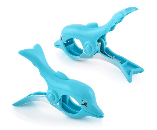 Dolphin bocaclips beach - bocaclips,,