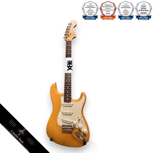 Fender usa highway one - fender,
