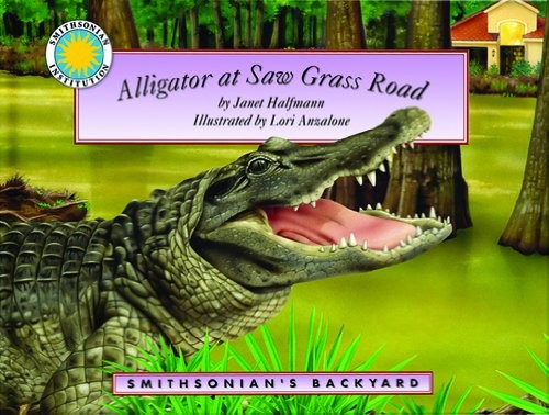 Alligator saw grass - road,
