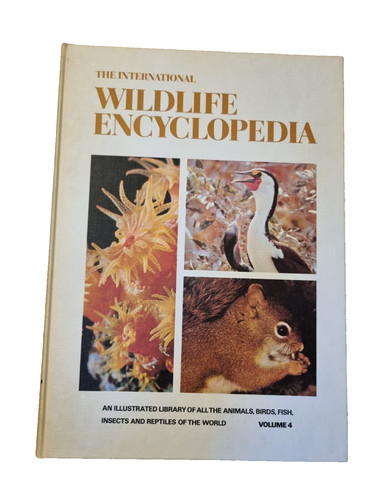 The international wildlife - international,