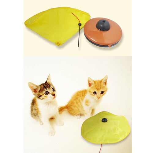 Electronic motion pet cat dog - motion,