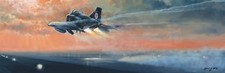Limited Aviation Print Phantom