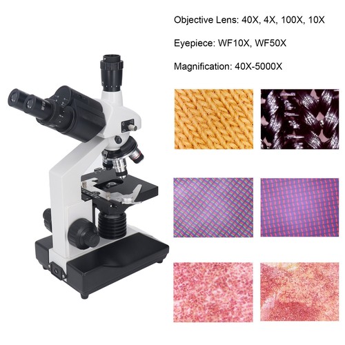 Electron microscope 40x - electron, to
