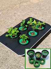 🌿A set of 15