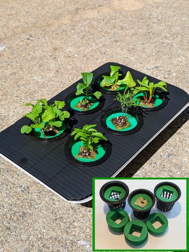 Set of 15 - 🌿a,