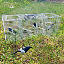 Larsen trap double - top, entry