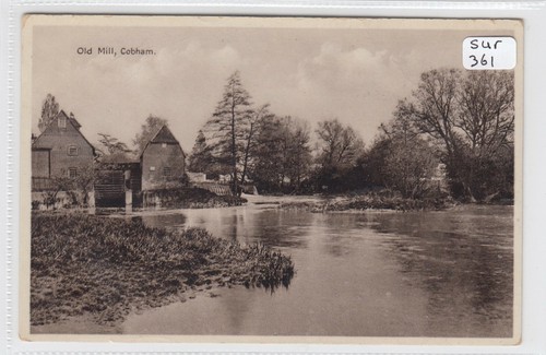 Cobham surrey the - ,