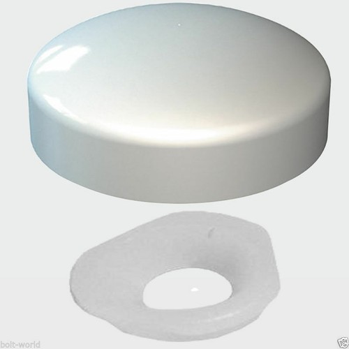 100 assorted plastic dome - plastic,