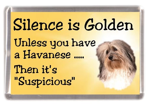 Havanese dog fridge magnet - havanese,