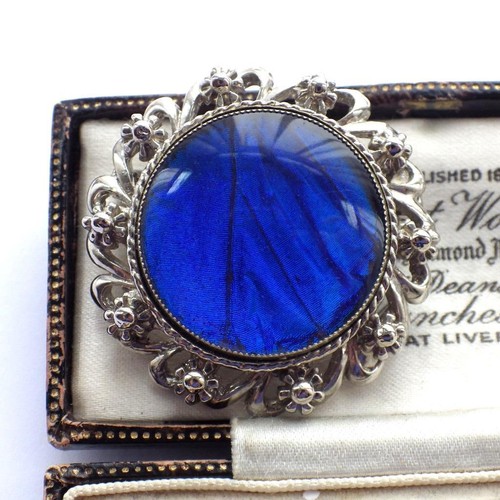 Vintage butterfly wing brooch - vintage,