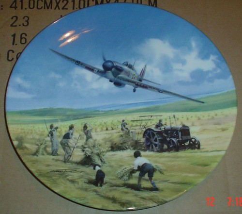 Royal doulton collectors plate - royal,