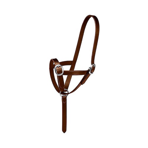 Foal slip leather - slip, black