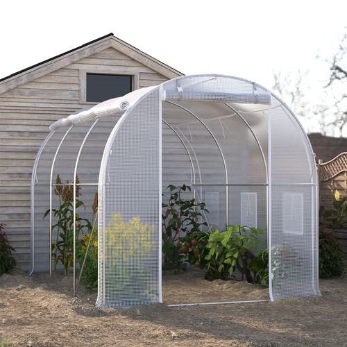 Walk polytunnel greenhouse - walk-in,