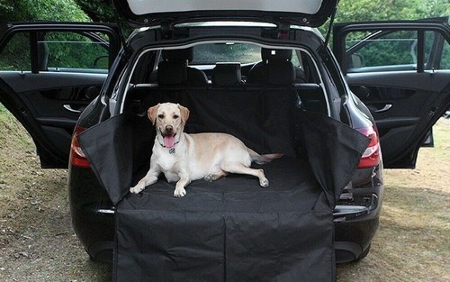 For mini countryman - for, all