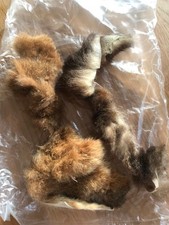 RED FOX FUR SKIN PIECES FOR FLY TYING