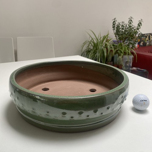 New large bonsai pot - pot, round
