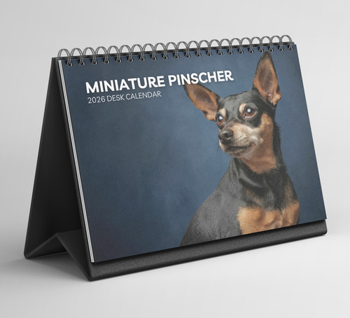 Miniature pinscher desk - pinscher,