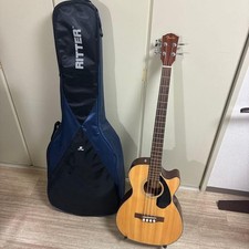 Fender Electro Acoustic Bass CB60SCE Ritter RGP 5 AB Limited Edition