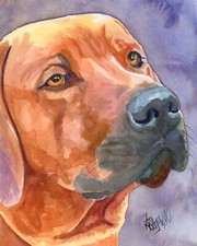 Rhodesian Ridgeback Print of Original Fine Art Watercolor by Ron Krajewski