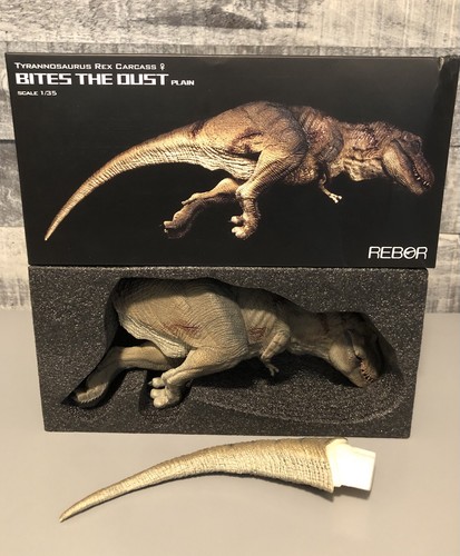 Rebor scale tyrannosaurus - rebor, 1/35