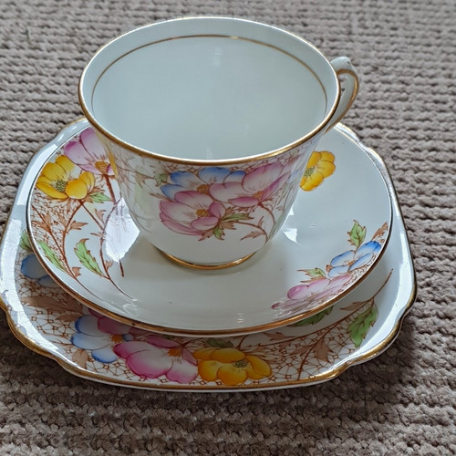 Salisbury bone china tea - bone, cup