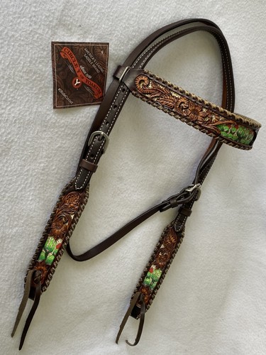 New circle beautiful cactus - new,